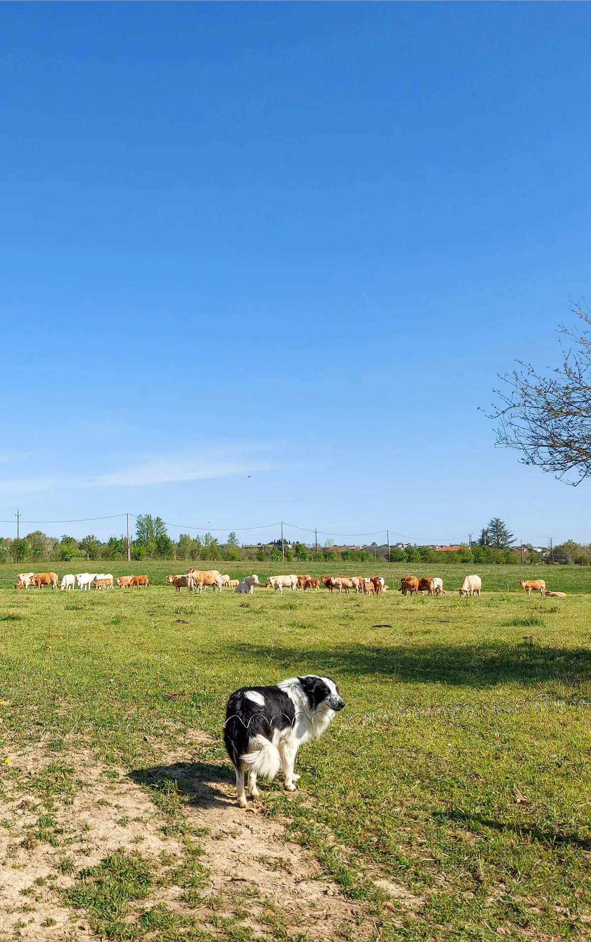 samsolar-brocailles-exploitation-0