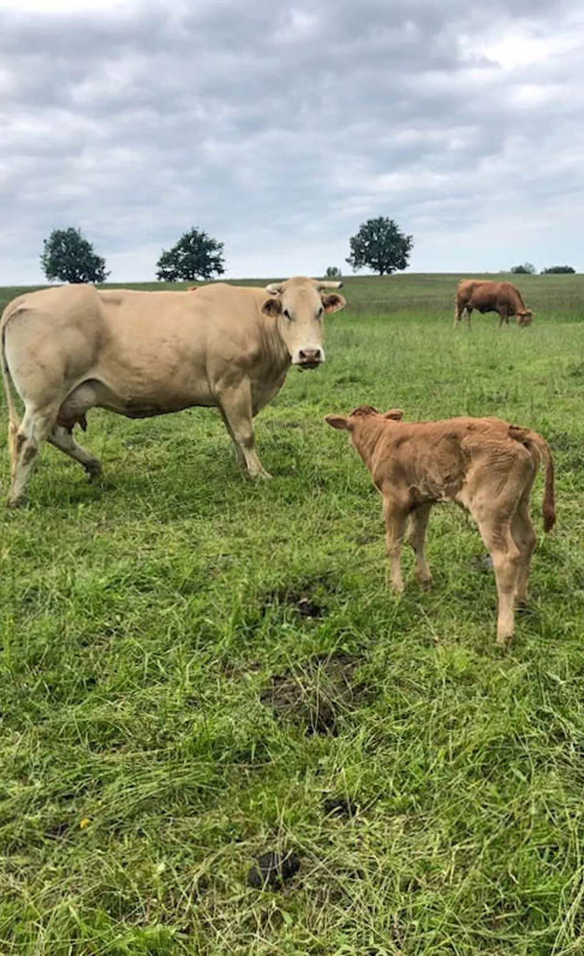 samsolar-brocailles-exploitation-1