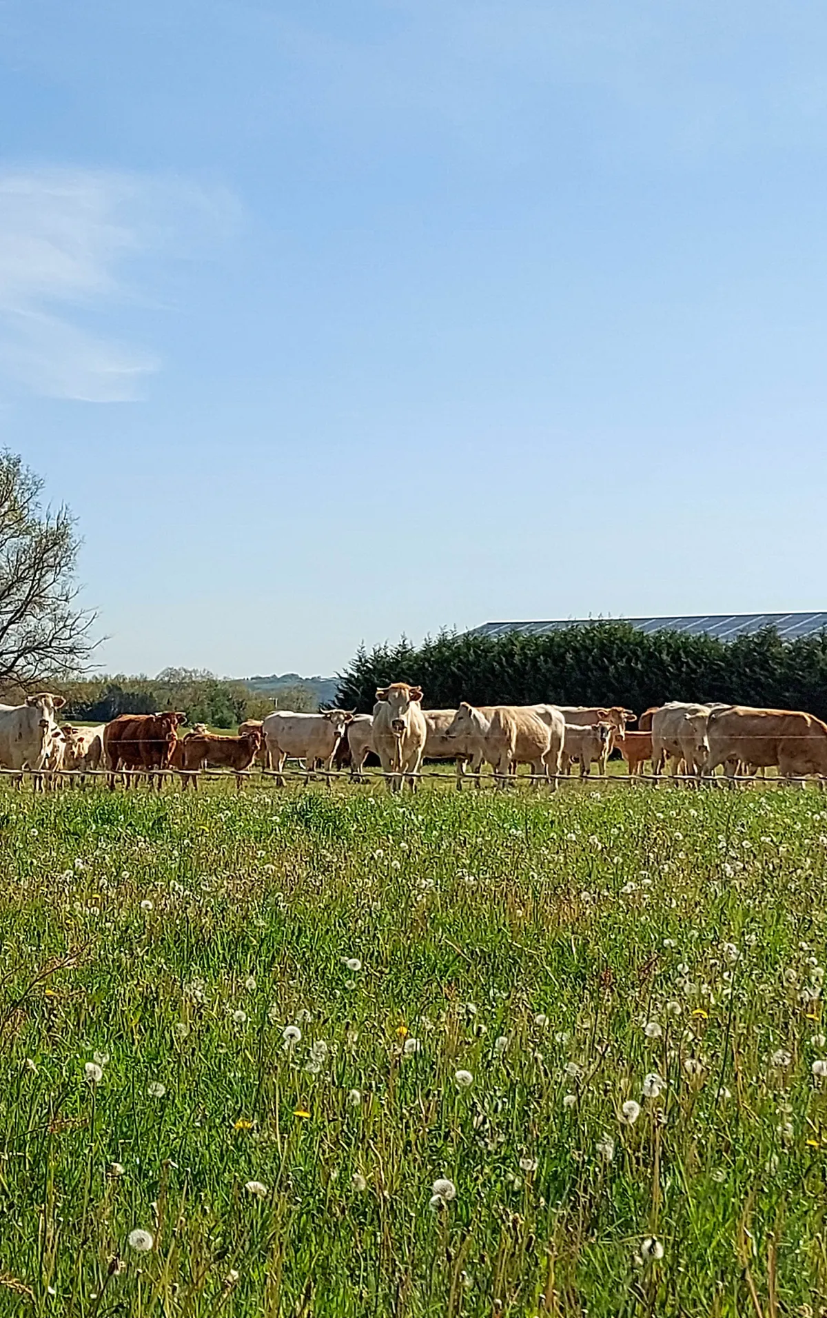 samsolar-brocailles-exploitation-2