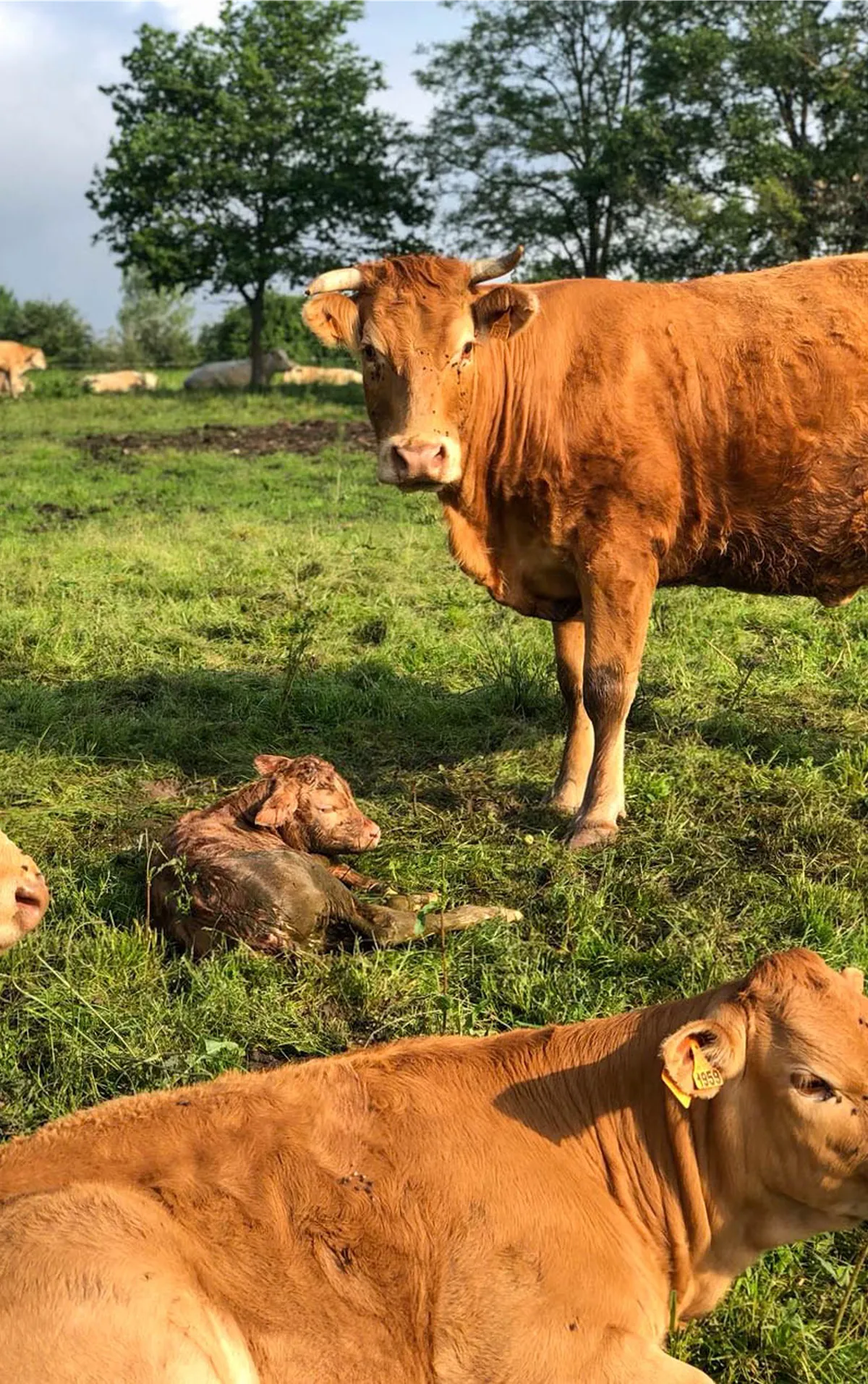 samsolar-brocailles-exploitation-4